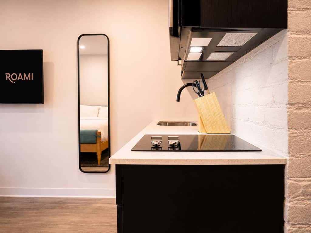 Roami at the Fitz | SDO gym, laundry in building!