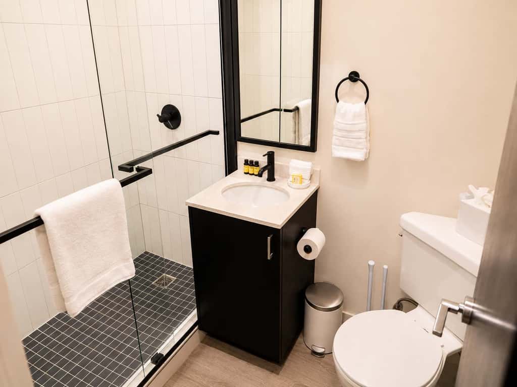 Roami at the Fitz | SDO gym, laundry in building!