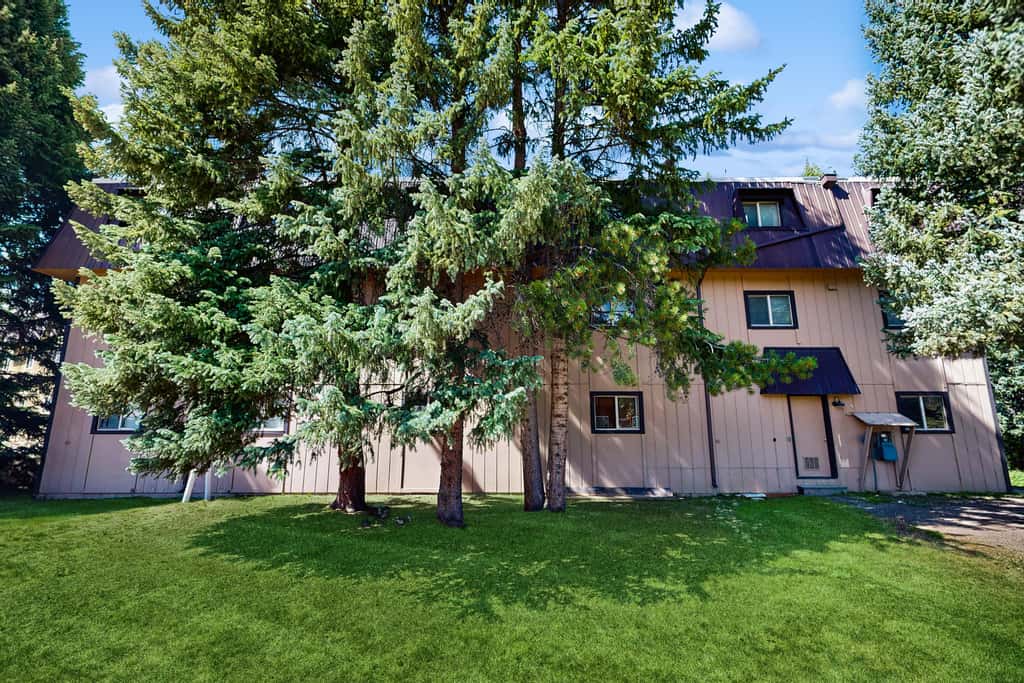 Beautiful Riverfront 2BR - Hi Country Haus 12-1