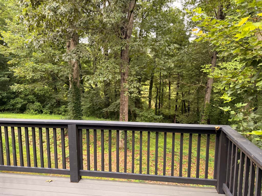 Great for gatherings, hot tub, sauna, gas grill, firepit, gameroom, outdoor seating