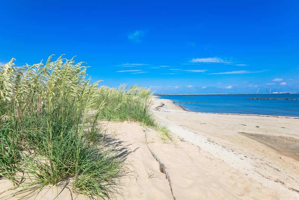 Sojourn Beach Front Escape Balcony & Beach Access