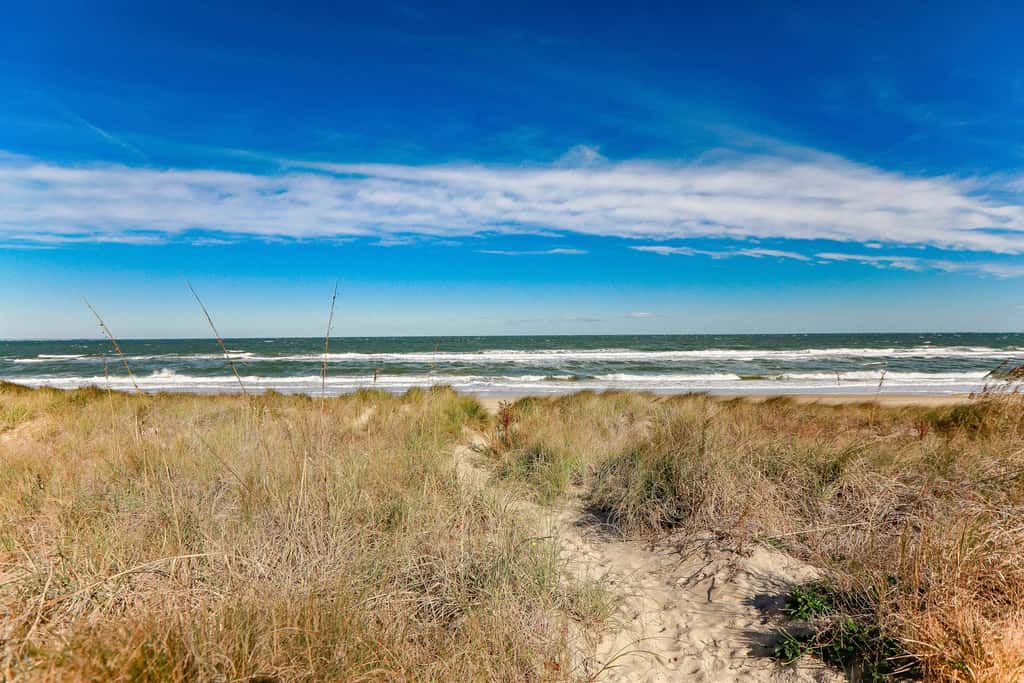 1866 EOV Beach Suite