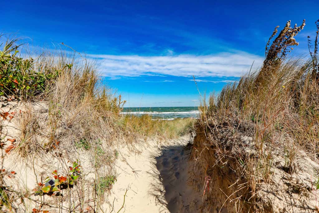 1866 EOV Beach Suite
