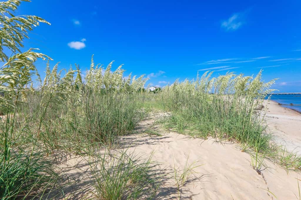 Sojourn | Beach Front Escape | 3 BR
