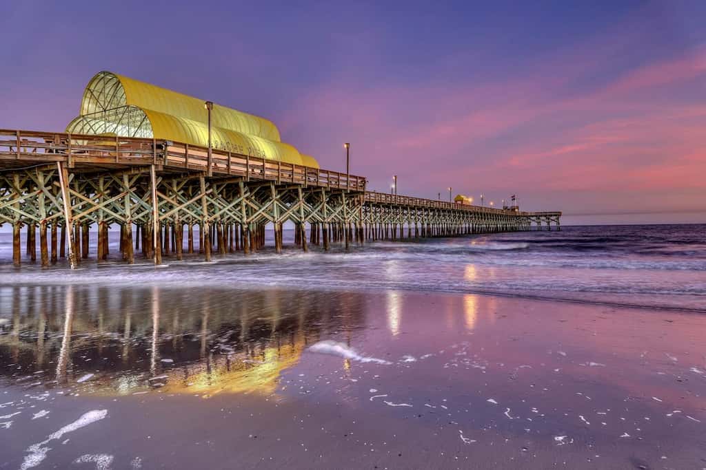 Pelicans Watch 106 On the Beach