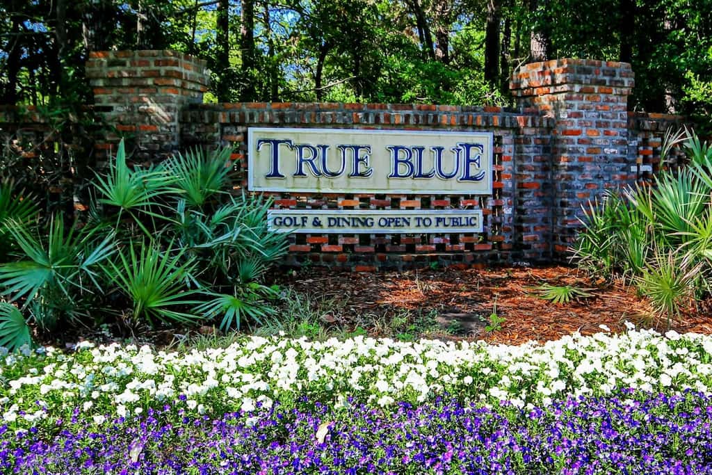 True Blue 1G