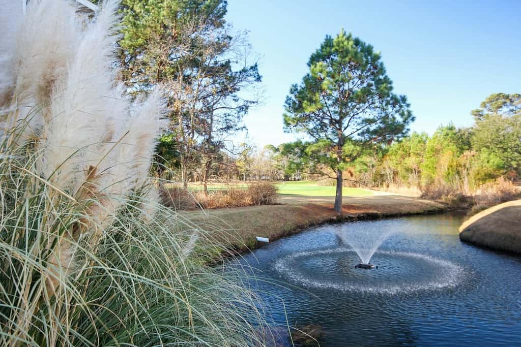 Double Eagle 5119