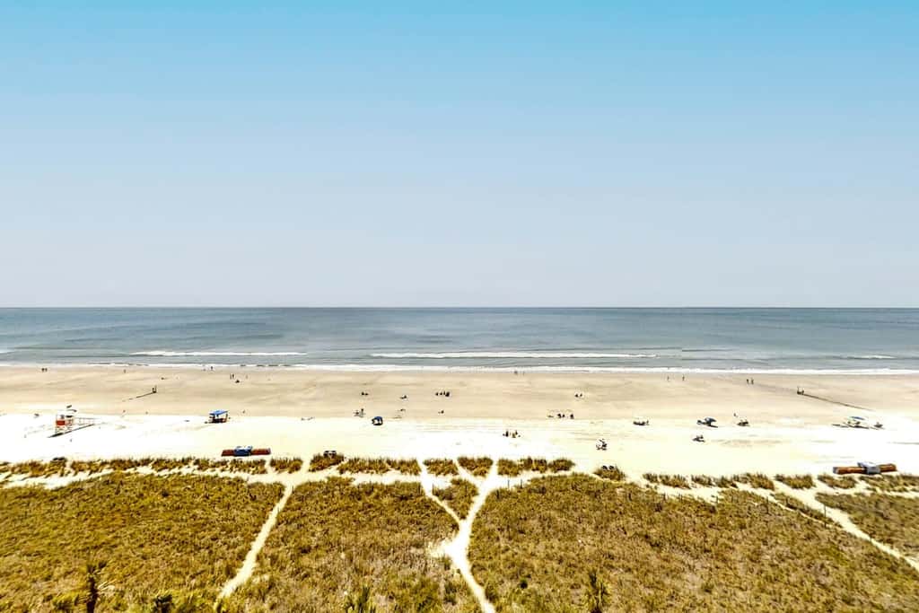 Bay Watch 0814
