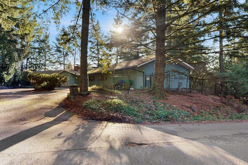 Forest Hideaway