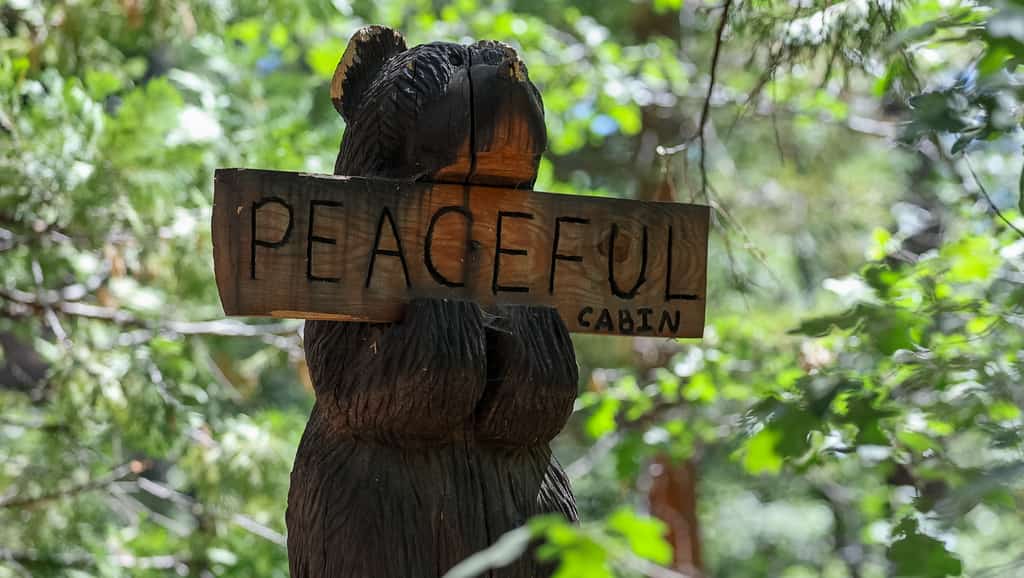 Peaceful Cabin | Dual Suites | Private Hot Tub | Nature Retreat | Idyllwild
