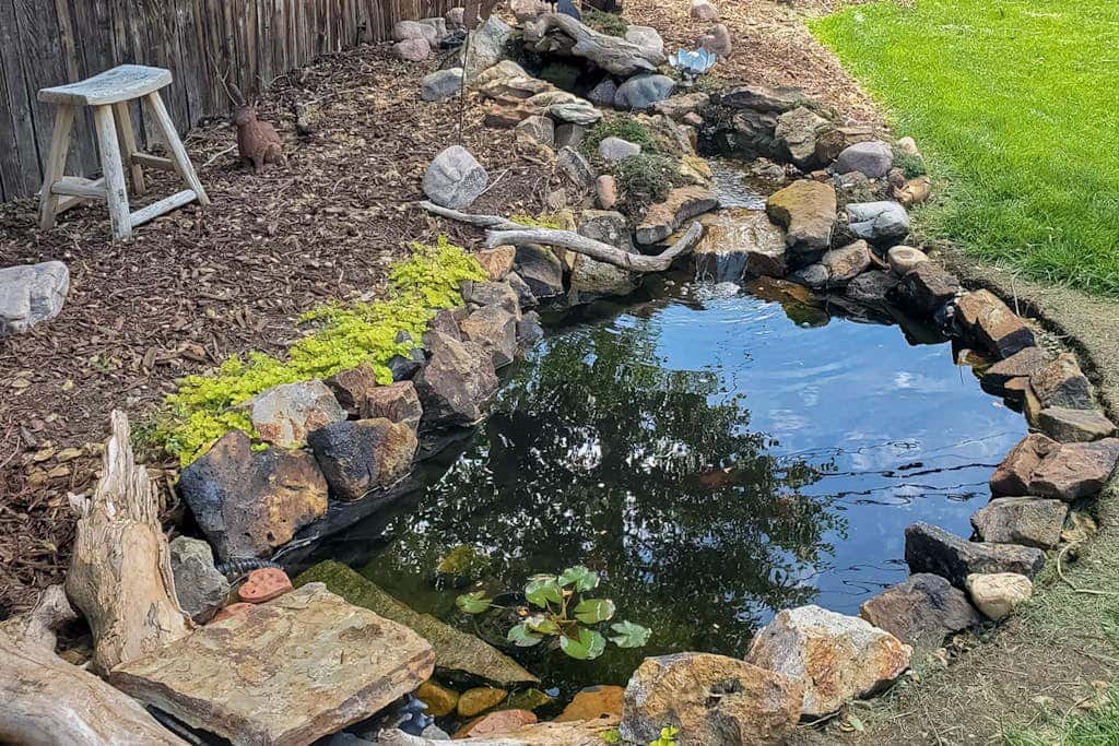 Goldfish Glen