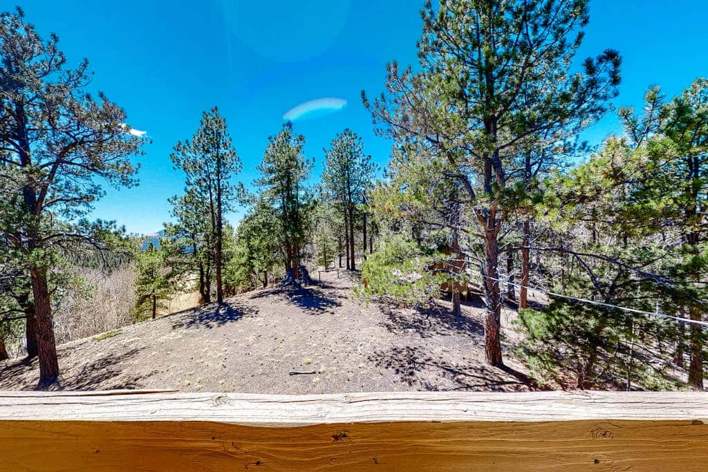 Timberline Vista