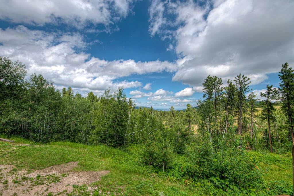 Discover your perfect Black Hills escape at this custom log and stone home in Deadwood. Set on ten private acres, this four bedroom retreat is ideal for families, offering a game room, spacious decks with stunning mountain views, and a fire pit for evening relaxation. With direct access to Forest Service land and proximity to Terry Peak, you can enjoy endless outdoor adventures and wildlife spotting. Experience the ideal combination of rustic charm, modern comfort, and natural beauty today.