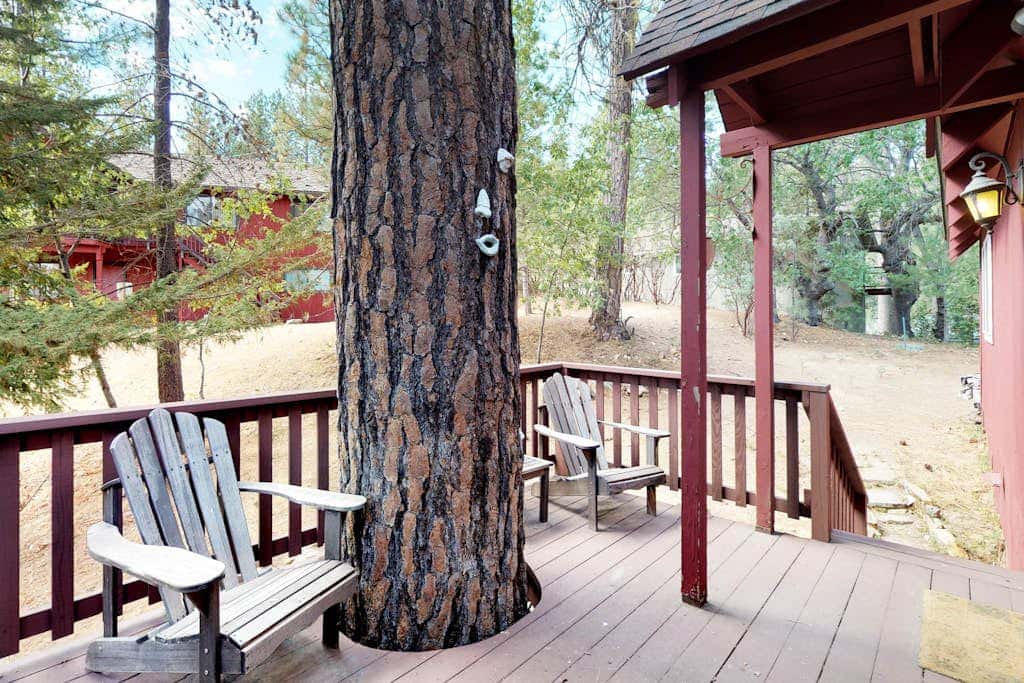 Forest Bears Hideout
