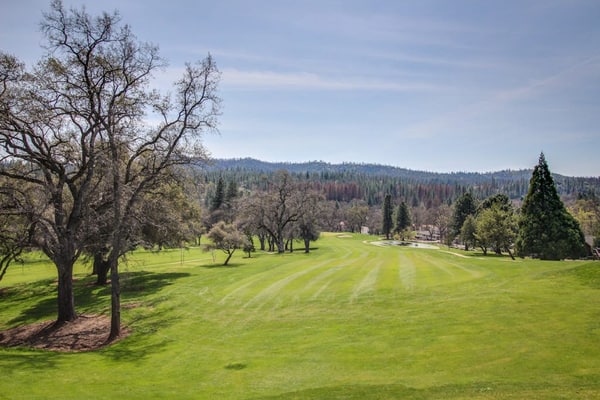 Charming, dog-friendly retreat with a fireplace, modern kitchen, & washer/dryer