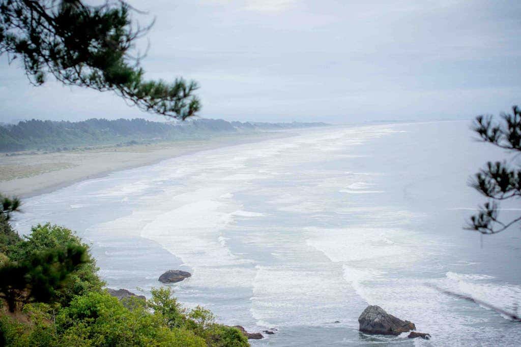 Seaside Meadow