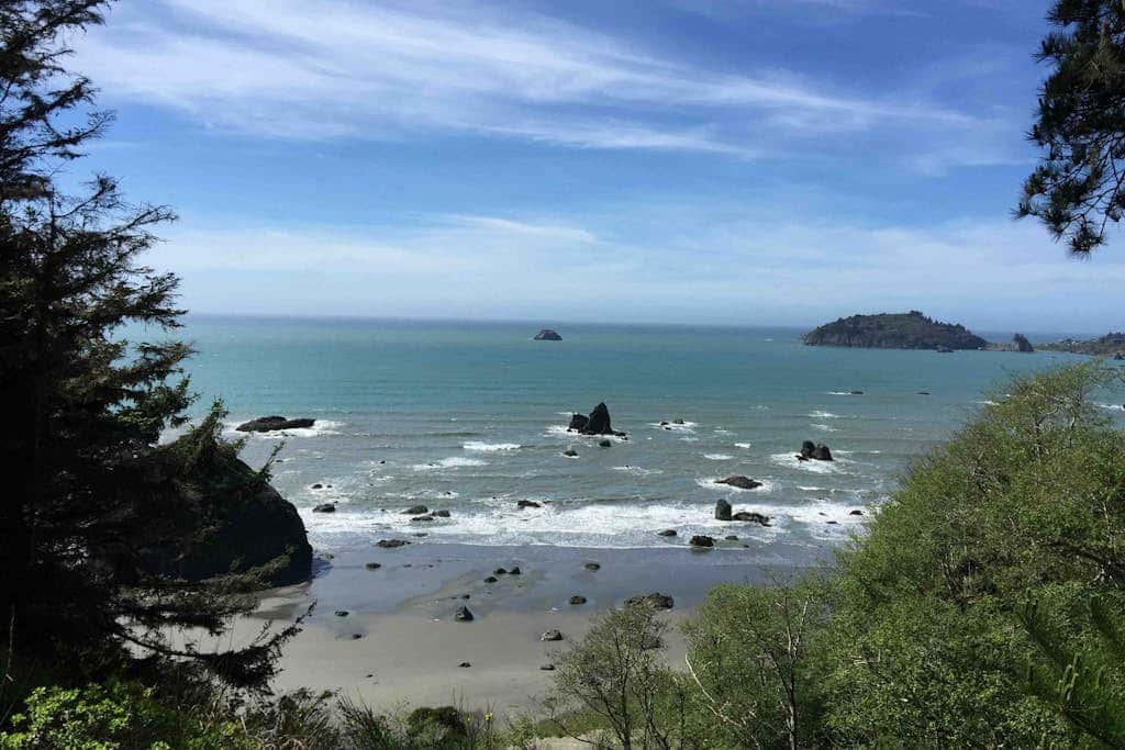Seaside Meadow