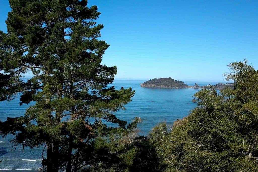 Seaside Meadow