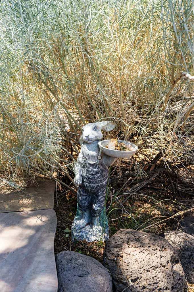 Casa de Colores - Adobe Retreat, Dog-Friendly, AC