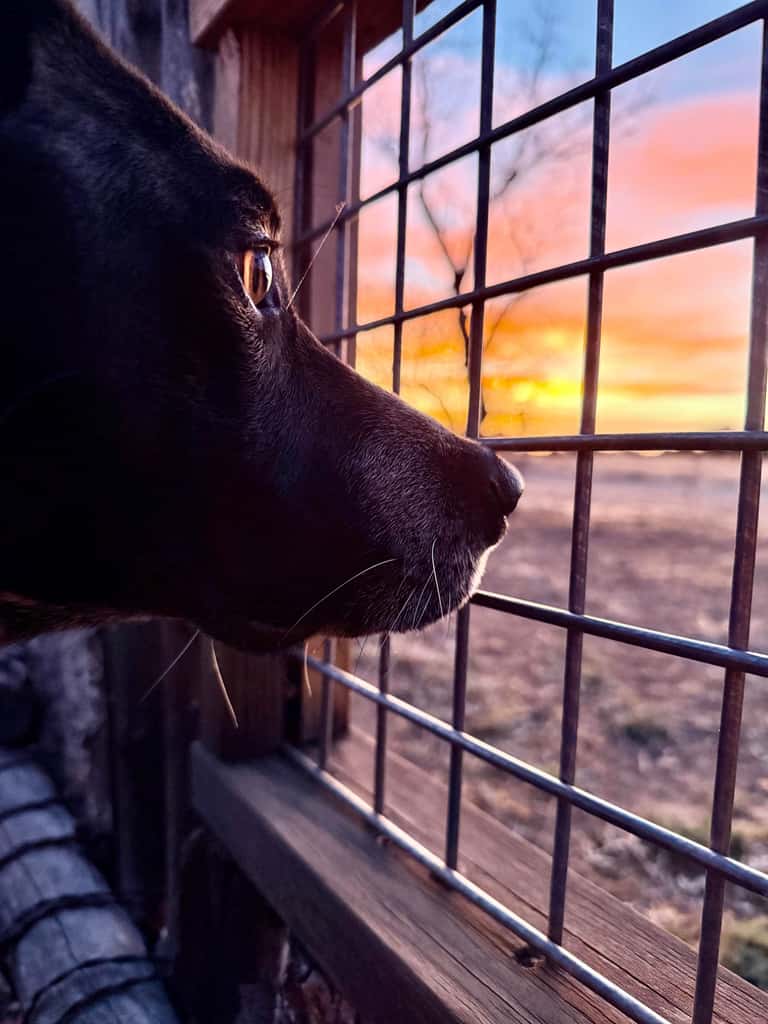 Casa de Colores - Adobe Retreat, Dog-Friendly, AC