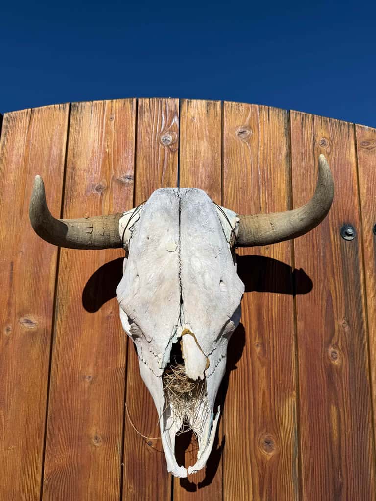 Casa de Colores - Adobe Retreat, Dog-Friendly, AC