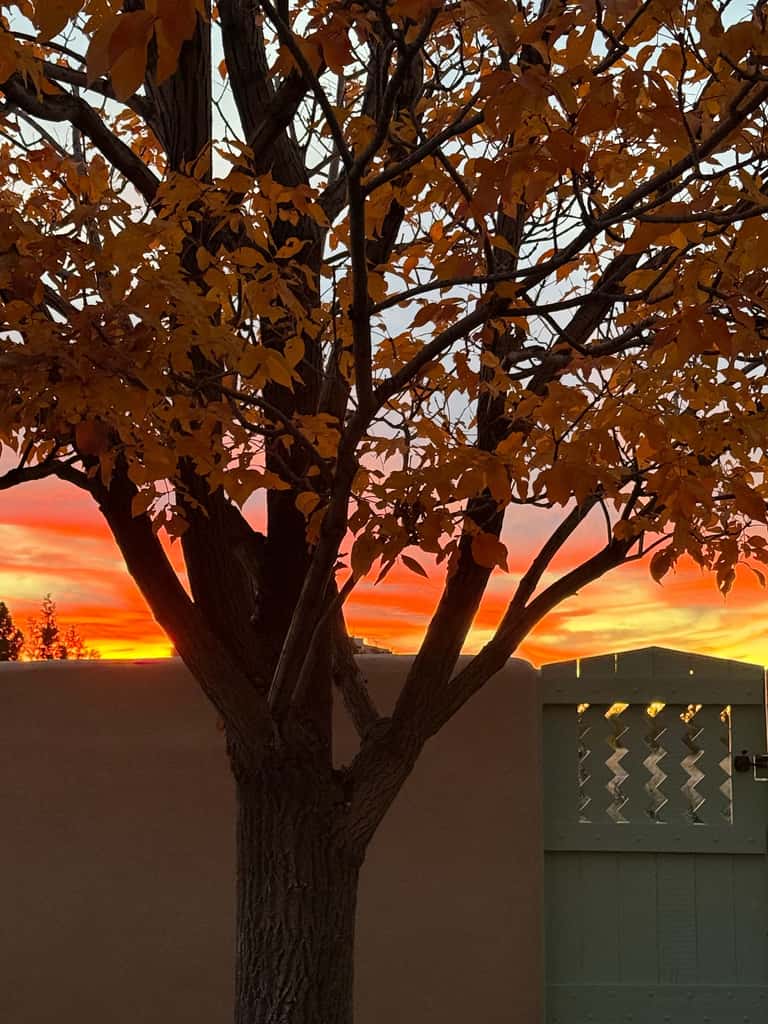 Casa de Colores - Adobe Retreat, Dog-Friendly, AC