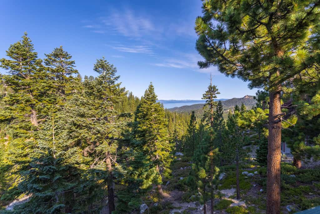 Heavenly Vista Lago Lake View - Luxury Ski-In-Ski-Out Retreat with Stunning Lake Views