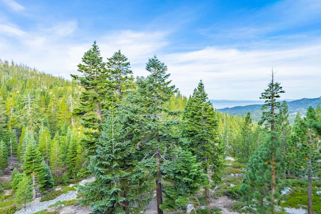 Heavenly Vista Lago Lake View - Luxury Ski-In-Ski-Out Retreat with Stunning Lake Views