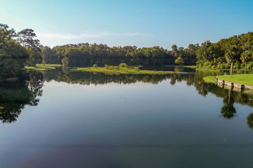 Dock & Kayaks: Riverfront Dunnellon Home!