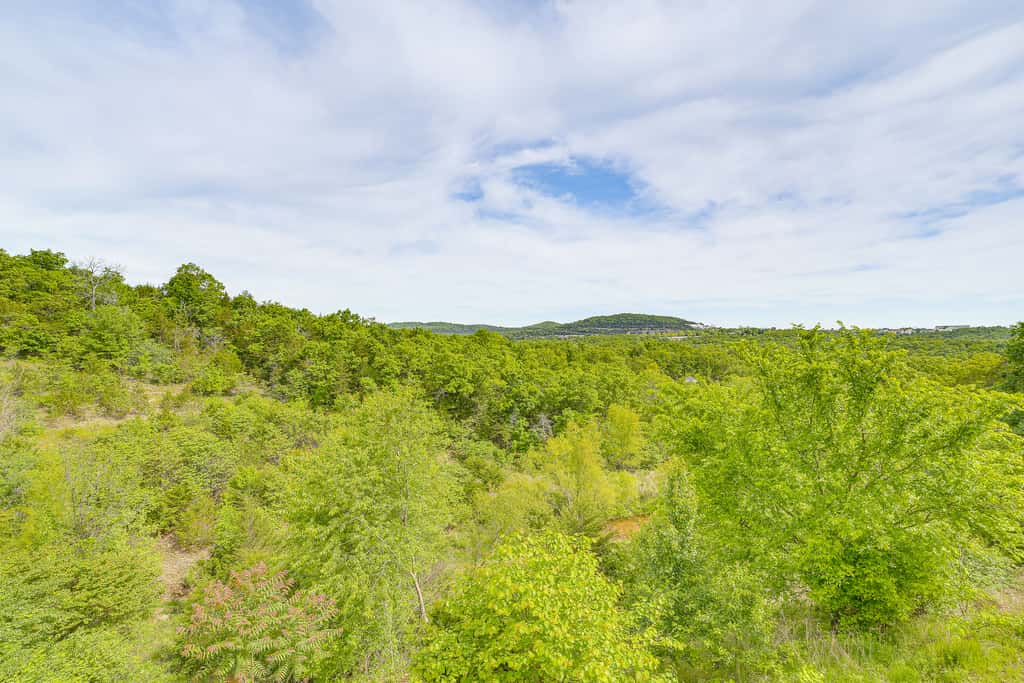 5 Mi to Silver Dollar City: Condo w/ Pool Access