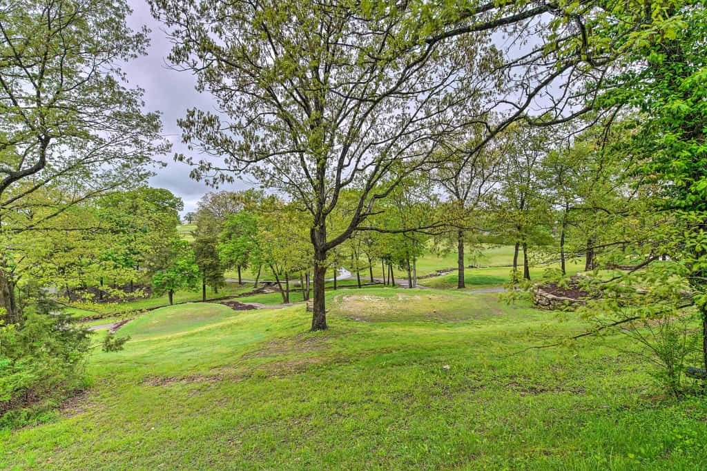 6 Mi to Branson Strip! Dog-Friendly Golf Condo