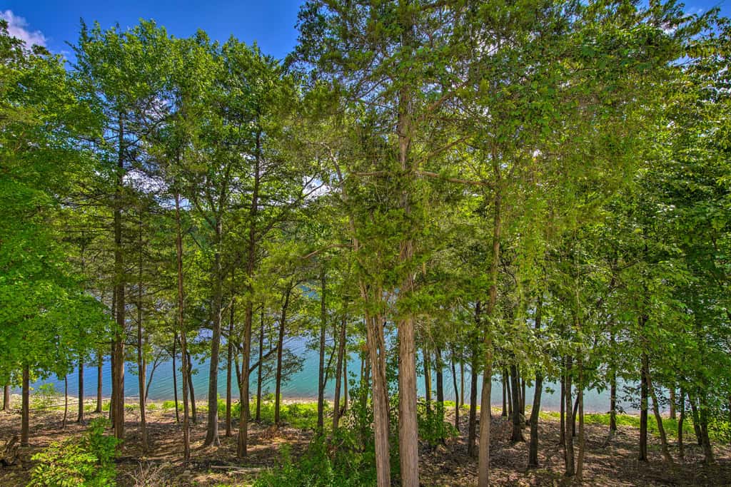 Bright Ozarks Condo w/ Balcony & Lake Views!