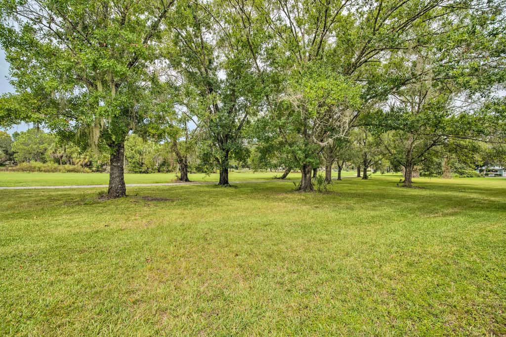 Crystal River Gem Near Three Sisters Springs!