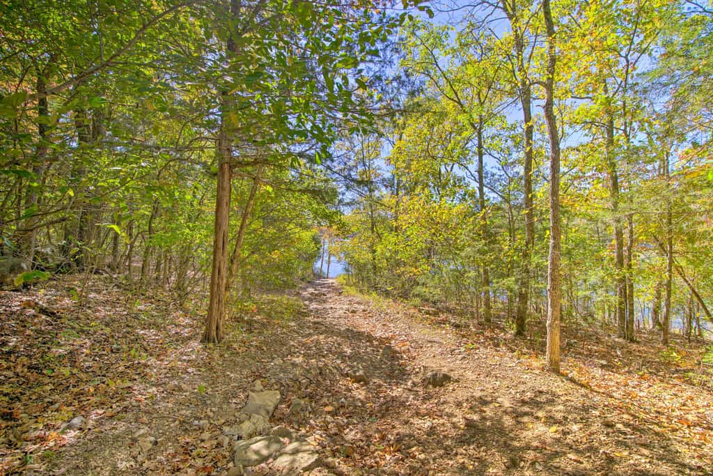 1 Mi to Silver Dollar City! Lake-View Family Haven