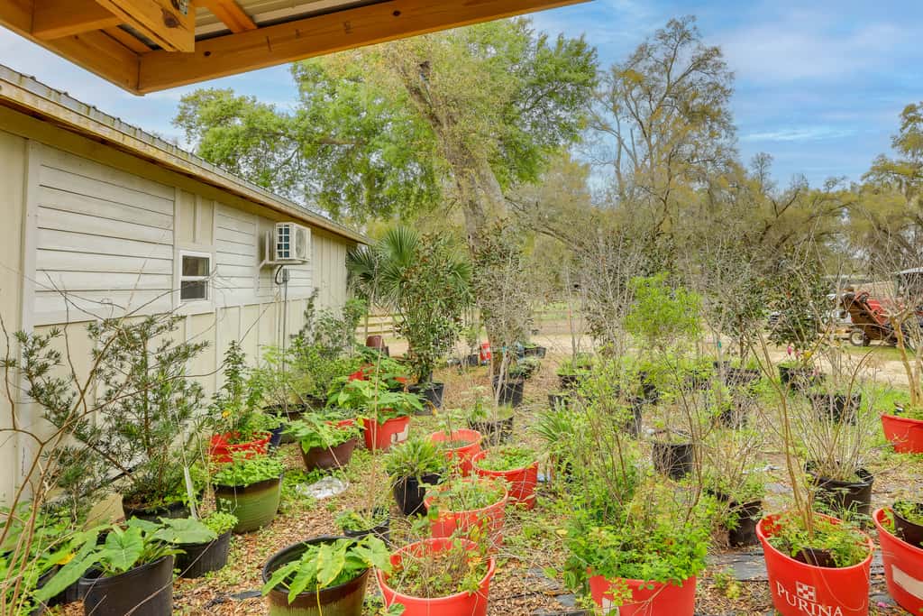 80-Acre Horse Farm Stay Near HITS, WEC + Live Oak