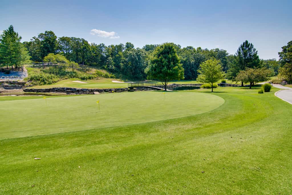 Charming Golf Resort Oasis Near Silver Dollar City