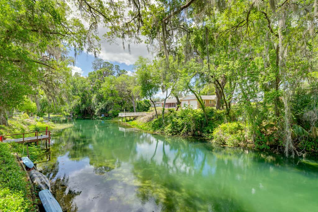 Waterfront Deck & Private Dock! Rainbow River Home