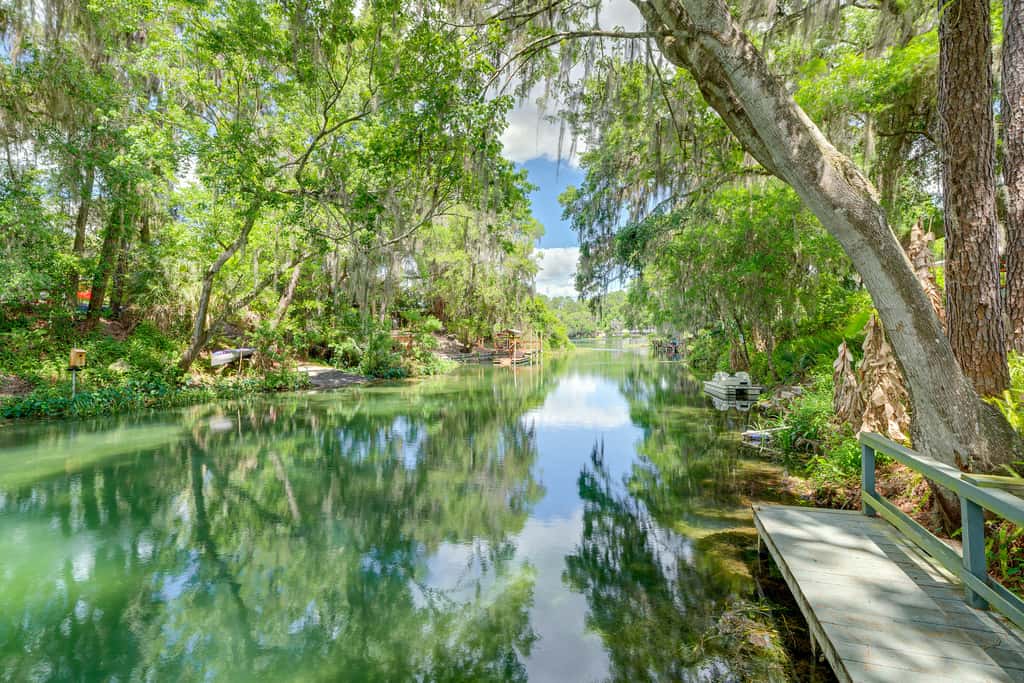 Waterfront Deck & Private Dock! Rainbow River Home