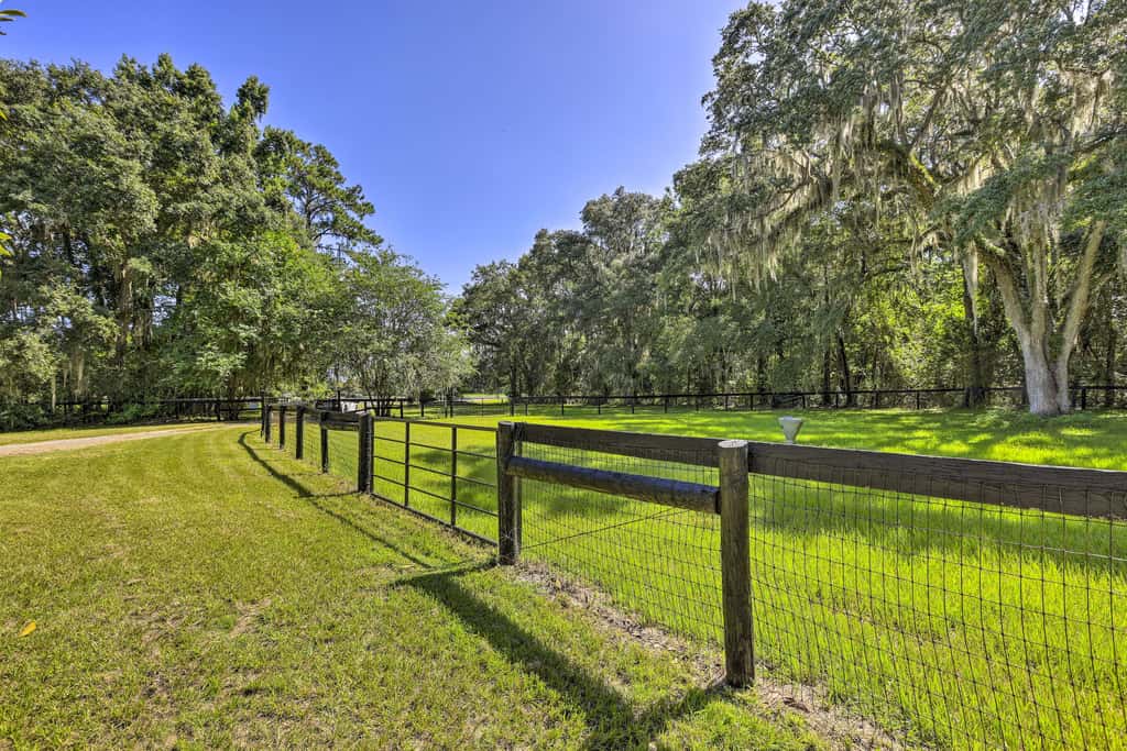 Pet-Friendly Home Close to WEC Ocala!