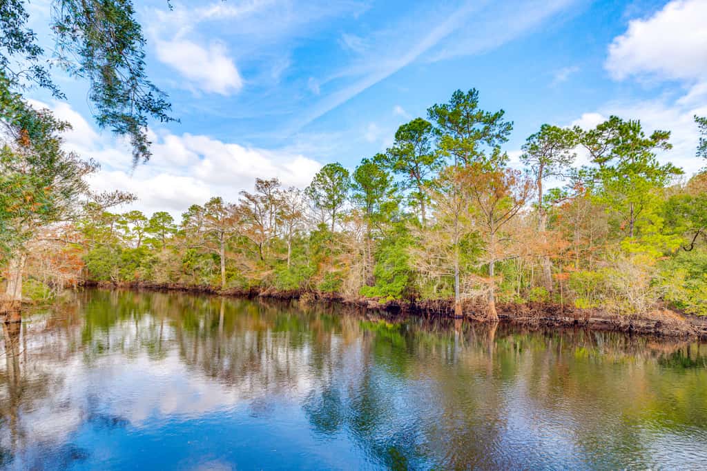 ‘Bovee’s Riverhouse’ Dunnellon Family Getaway!