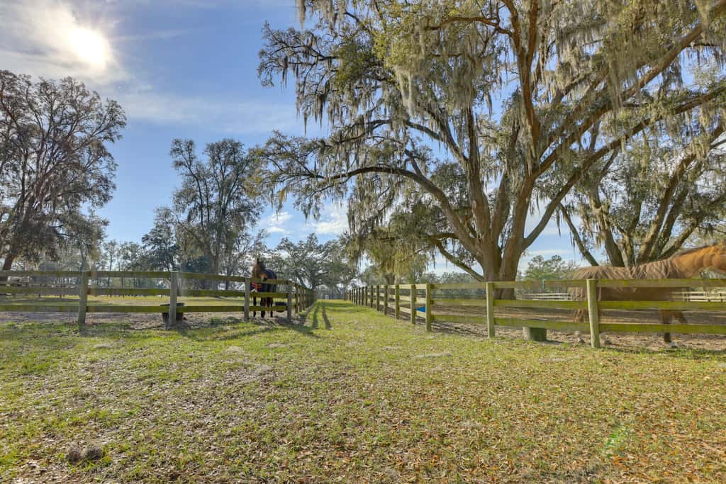 Over Barn Studio w/ View on 80 acre Farm near WEC