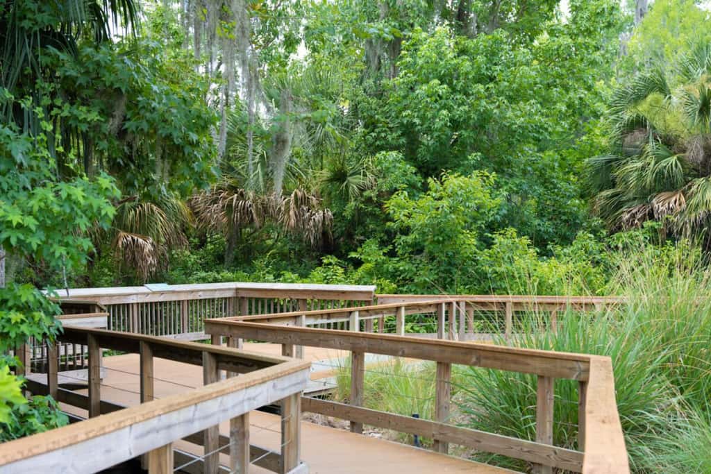 Pet-Friendly Home w/ Patio in The Villages