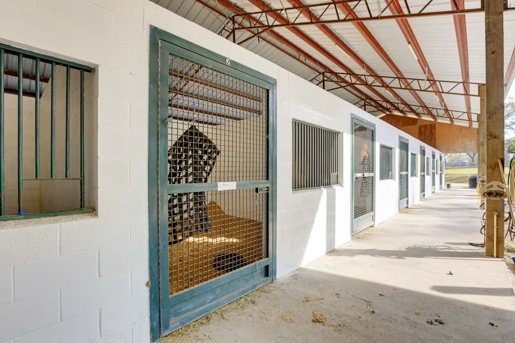Pet-Friendly Studio Near World Equestrian Center!