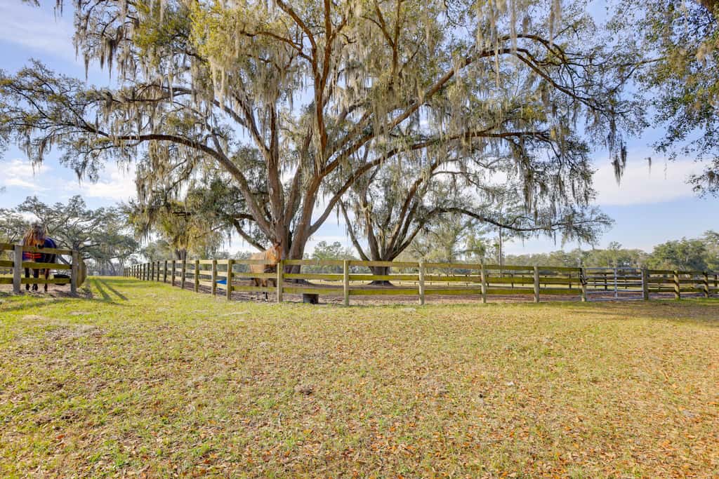 Pet-Friendly Studio Near World Equestrian Center!