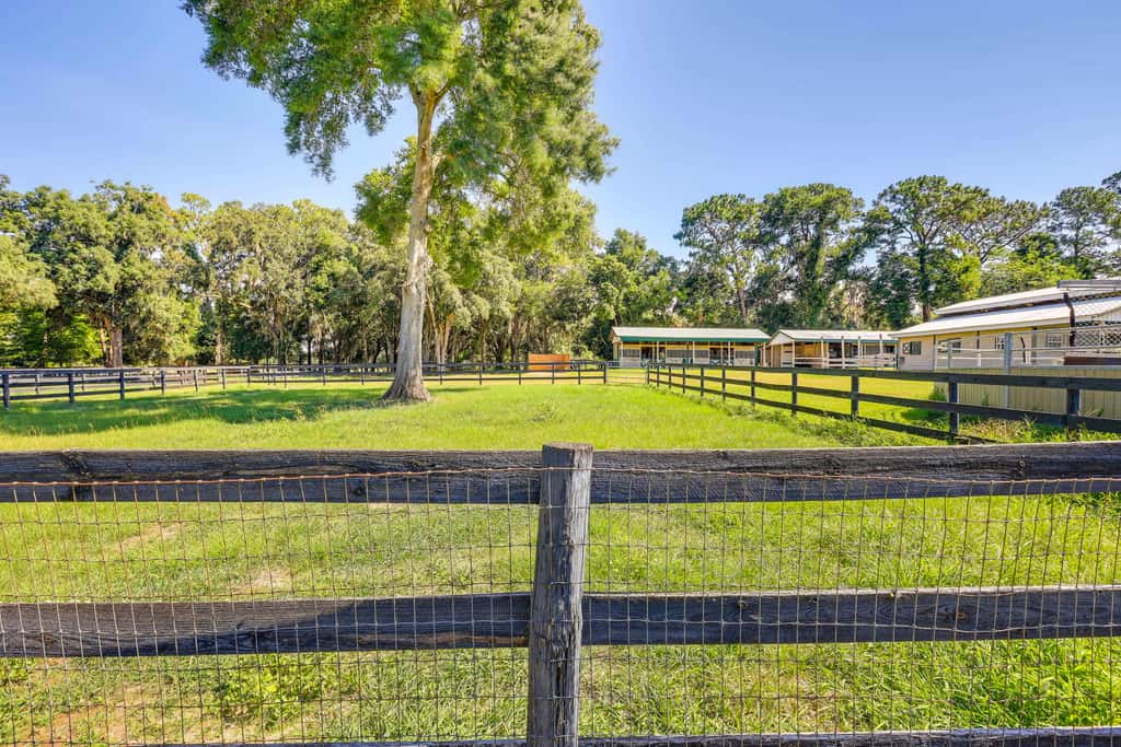 Ocala Retreat, 2 Mi to World Equestrian Center!