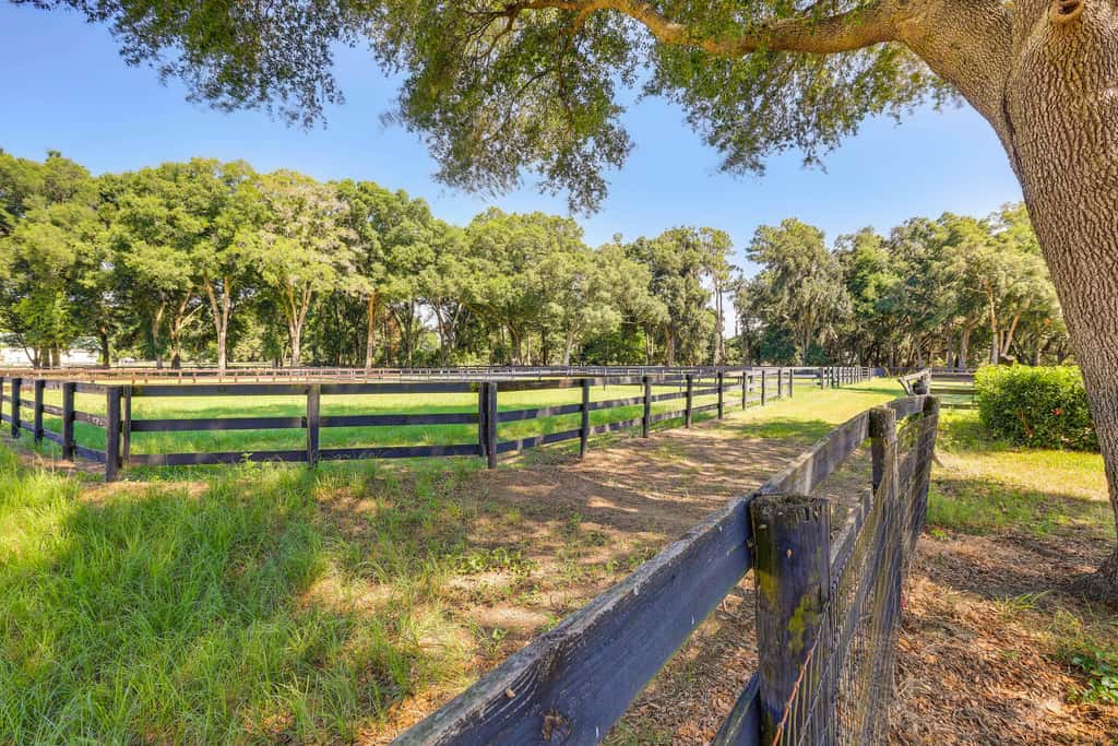 Ocala Retreat, 2 Mi to World Equestrian Center!