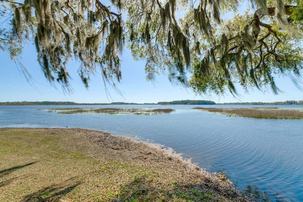 Lake Days + Pool Fun! Nature Coast Retreat
