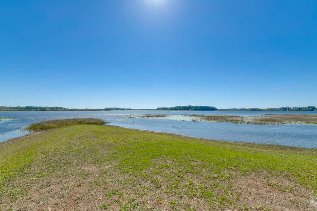 Lake Days + Pool Fun! Nature Coast Retreat