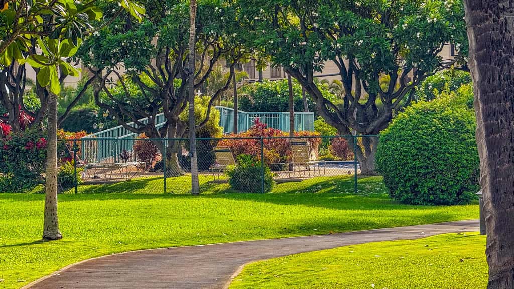 Koa Resort 3E | Two Bedroom Condo in Kihei