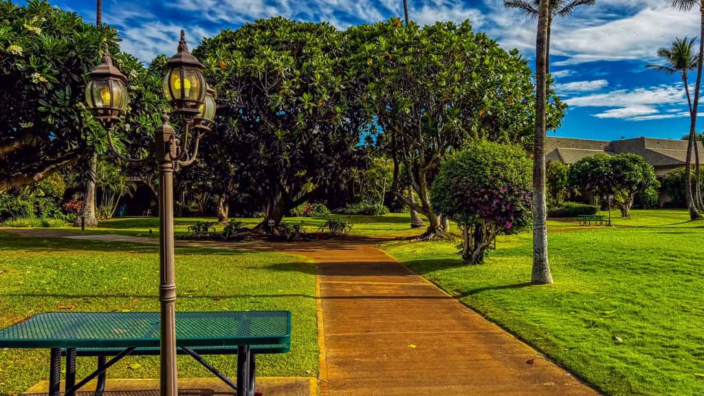 Koa Resort 3E | Two Bedroom Condo in Kihei